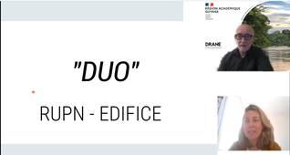 DUO EDIFICE - RUPN CAYENNE