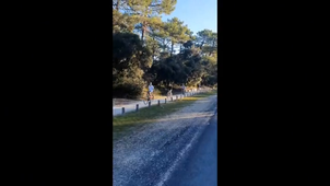 lv_0_20251004131209.mp4