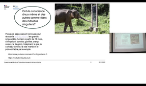 Assises des écodélégués 25-26.wmv