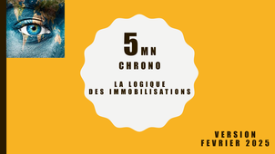 LA LOGIQUE DES IMMOBILISATIONS.mp4