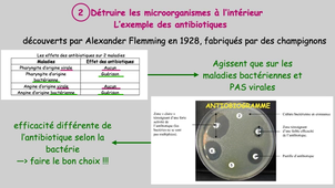 Lutter contre la contamination et l'infection.mp4