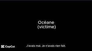 UAI_College_JEAN MOULIN_Verrieres Le Buisson_91.mp4