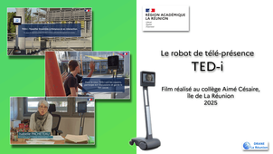 Le Dispositif de télé-présence TED-i - île de La Réunion