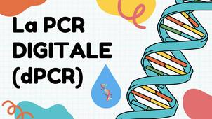 La PCR digitale ou dPCR