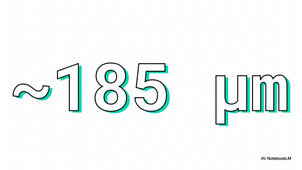 Système_reproducteur_féminin.mp4