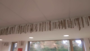 Exposition traits de bout - 2