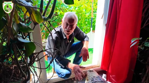 Les crocodiles sont-ils vraiment des monstres ?