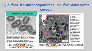contamination et infection.mp4