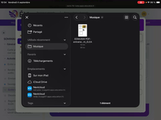 Tuto-ELEA-iPad-Ecrire sur un PDF