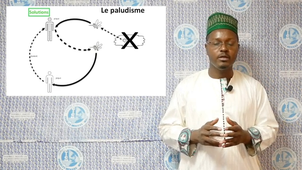 2 maladies infectieuses -  étape 2 - B.mp4