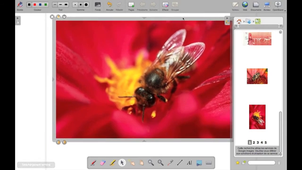 OpenBoard - La recherche web