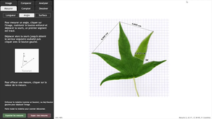 Presentation de Mesurim2