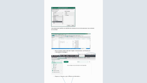 VisioFlashCactus.mp4