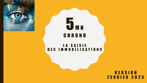 LA SAISIE DES FICHES IMMOBILISATIONS.mp4