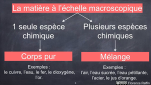 01 2nde Vidéo 1 Espèves vs entités chimiques.mp4