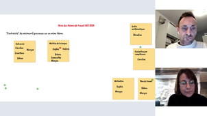 Classe virtuelle Choix du thème Com Apprentissage 27 janvier 2025.m4v