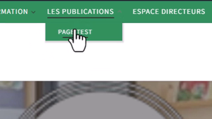 WP29_gestion_menu.mp4