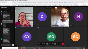 Visio Tom and Lily présentation 2025.mp4