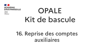 16. Reprise des comptes auxiliarisés