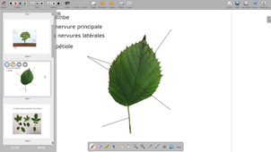 OpenBoard - Le chemin de fer