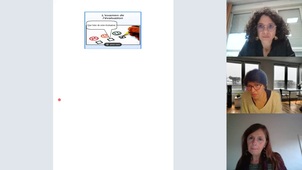 Photo adressée expérience