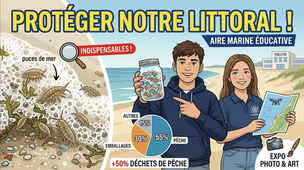 MdS 2026 : Protéger nos littoraux : Le projet de l'Aire Marine Éducative du collège Louis Blériot