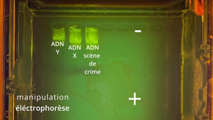 OAB_26_RENNES_Simone_Veil_liffré