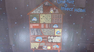 Une nuit à Insect'Hôtel