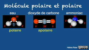 03 1ère spé vidéo 4 Electronégativite - polarité d'une molécule.mp4