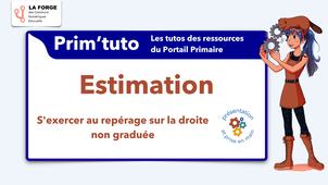 Estimation