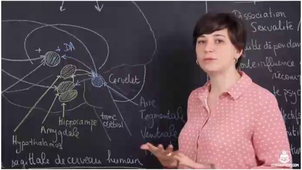 Circuit de la récompense