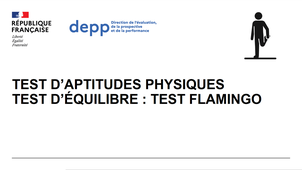 25XQP6 - Test d’équilibre : test du Flamand rose