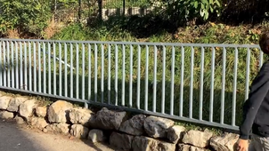 Le garçon et le chat