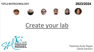 Create your lab hafsa anais flora tom roman mohamed.mp4