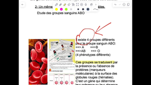 Récupérer un fichier sur l’ENT.mp4