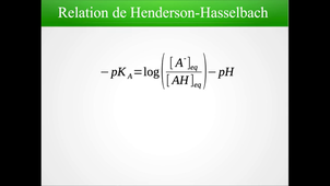 CTM3b-6 : Henderson-Hasselbach