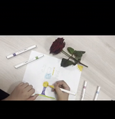 LesEmotionsDeRose_VitryEnArtois_PasdeCalais.mov