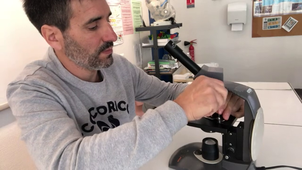 Vidéo microscope.mp4