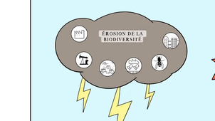 Services écosystémiques 1