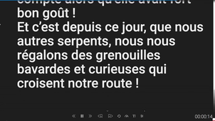 grenouilles 3.mp4