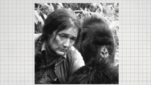 016 des femmes savantes épisode 16.mp4