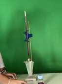 D12.mp4