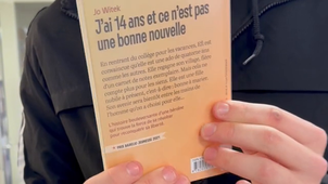 2B Lycee Saint Thomas d Aquin FLERS.mov