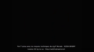 corrosion fer air et dioxygène.mp4