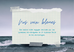 Nos voix bleues-LP ALphonse Pellé.MOV