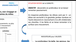 E5 - Vidéo-situation repère_savoir nager- capacité 1 - remontée passive.mp4