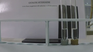 CATALYSE HETEROGENE