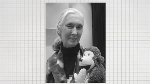 019  des femmes savantes épisode 19.mp4