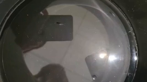 Quand la lumière guide le plancton - Lisa Dumont & Pernelle Bannier - lycée Maupertuis