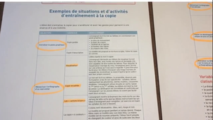 Situations variées pour entraîner ses élèves à la copie.